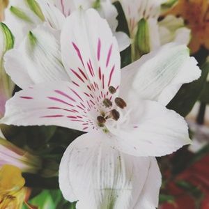 Meet your Posher, Casey